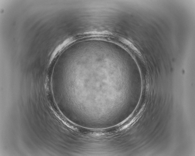 X0000059041357200510100959