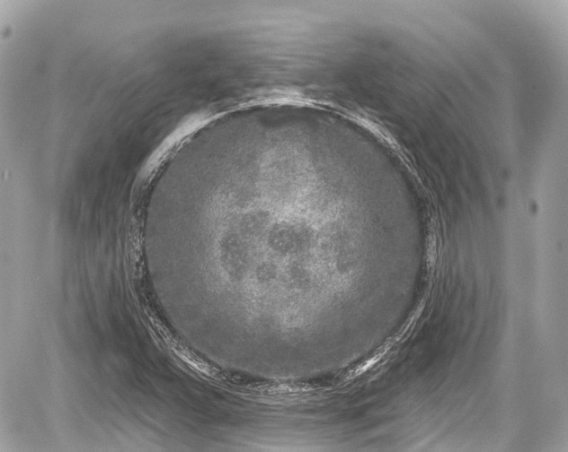 X0000059041359200510100959