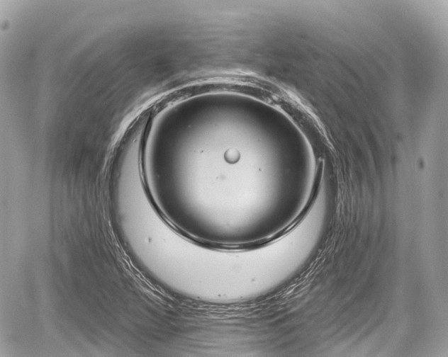 X0000059041360200510100959