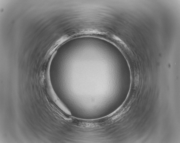 X0000059041361200510100959