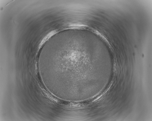 X0000059041362200510100959