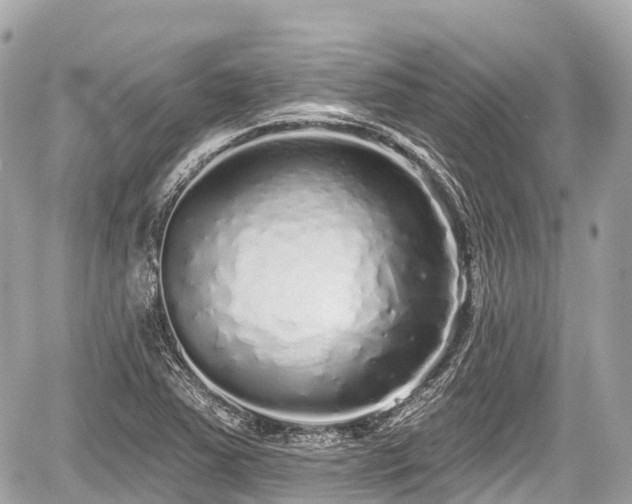 X0000059041363200510100959