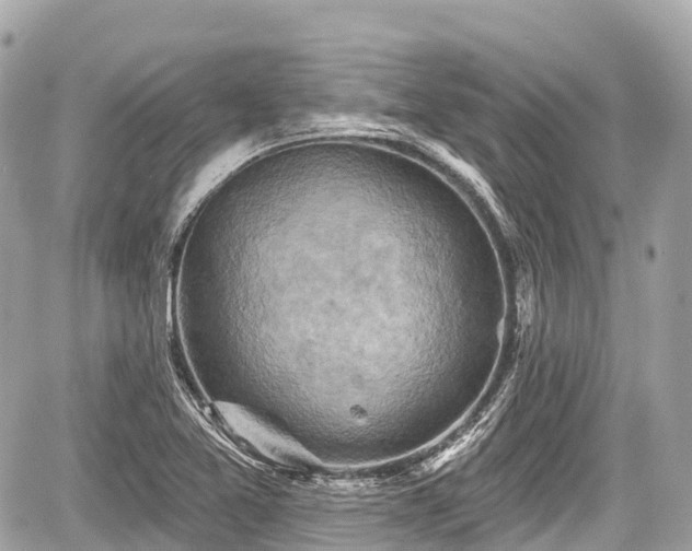 X0000059041365200510100959