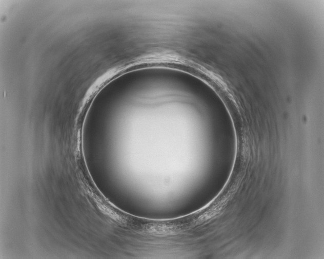 X0000059041366200510100959