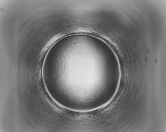 X0000059041367200510100959