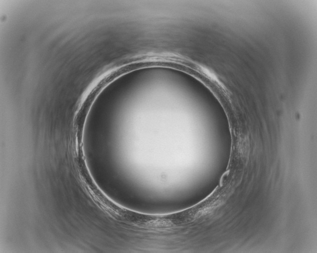 X0000059041368200510100959