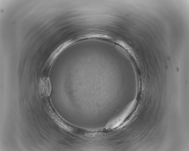 X0000059041369200510100959