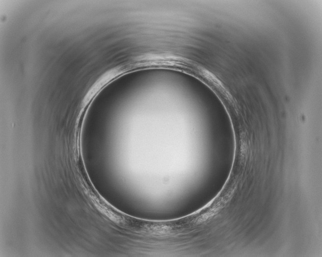 X0000059041370200510100959