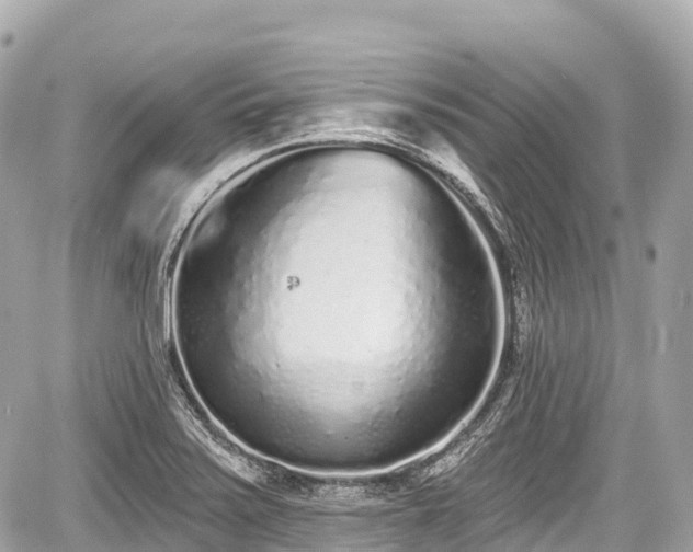 X0000059041371200510100959