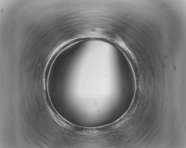 X0000059041372200510100959