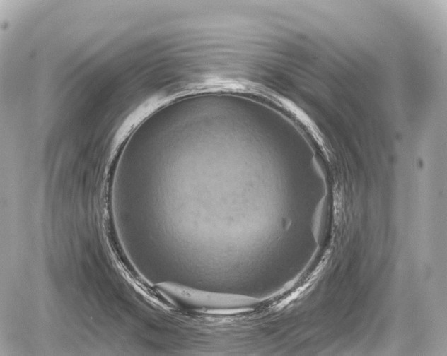 X0000059041373200510100959