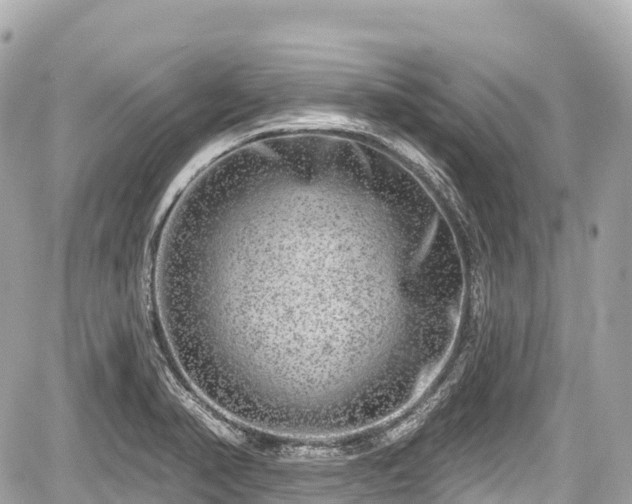 X0000059041374200510100959