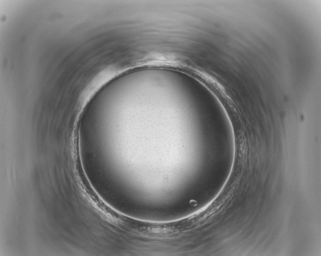 X0000059041375200510100959