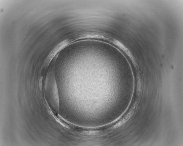 X0000059041377200510100959