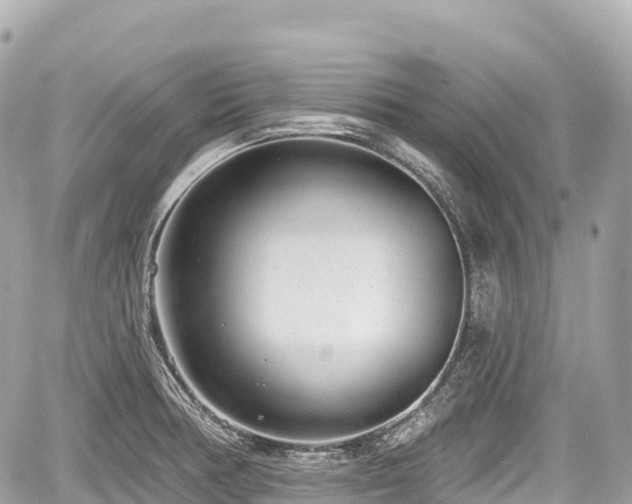 X0000059041378200510100959