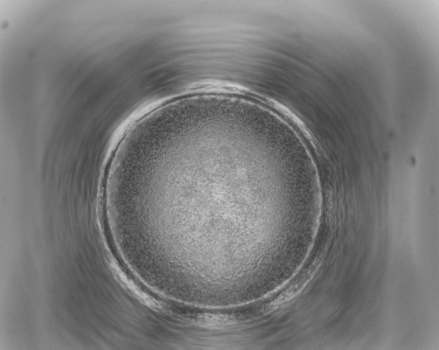 X0000059041379200510100959