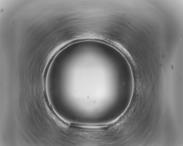 X0000059041380200510100959