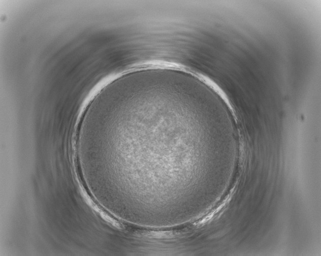 X0000059041381200510100959