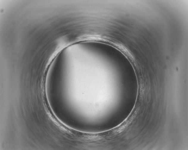 X0000059041382200510100959