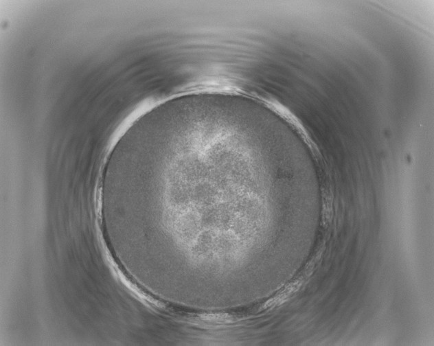 X0000059041383200510100959