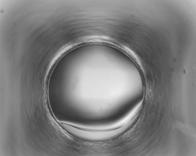 X0000059041384200510100959