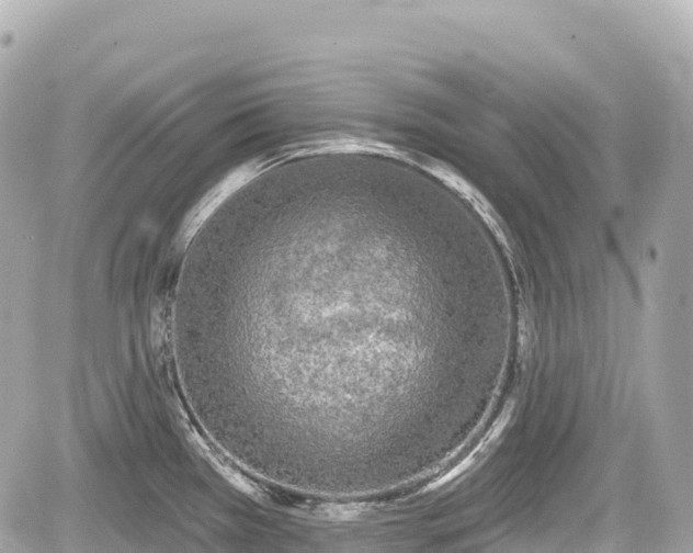 X0000059041385200510100959