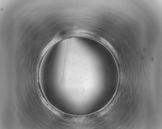 X0000059041386200510100959