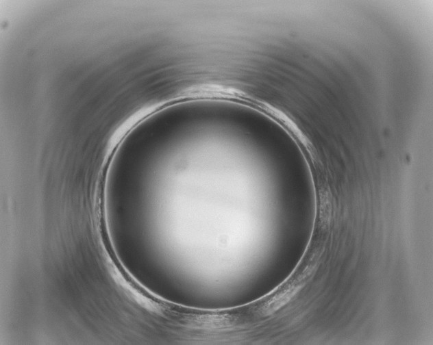 X0000059041387200510100959