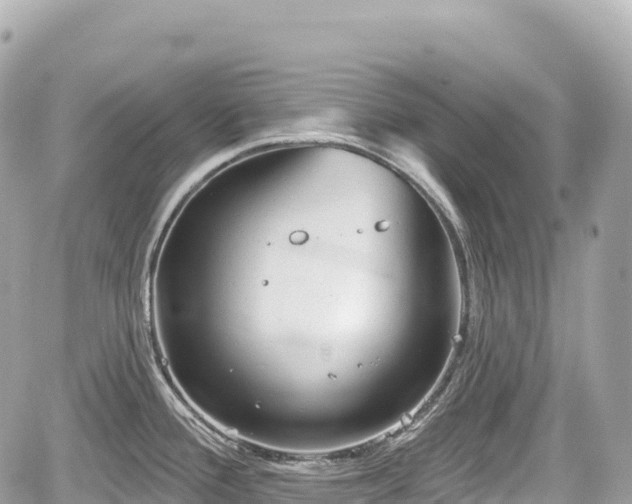 X0000059041388200510100959