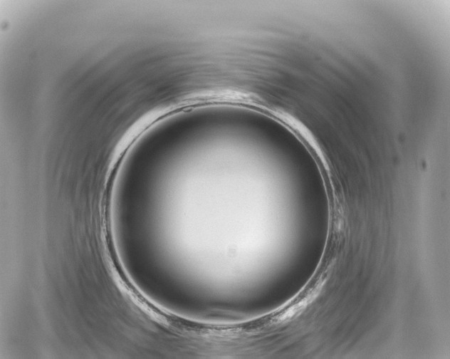 X0000059041389200510100958