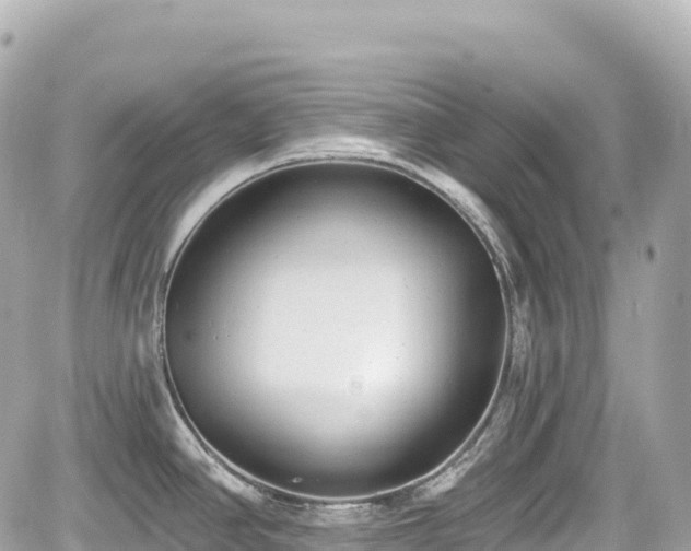 X0000059041390200510100958