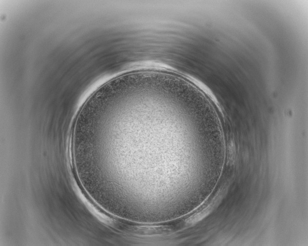 X0000059041391200510100958