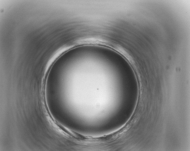 X0000059041392200510100958