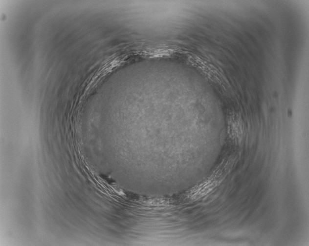 X0000059041393200510100958