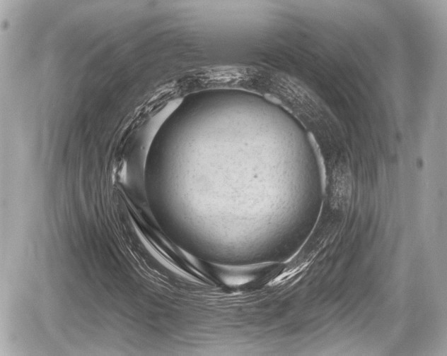 X0000059041394200510100958