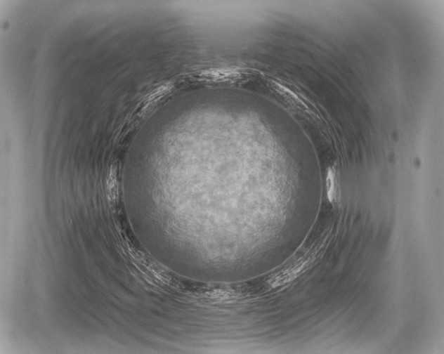 X0000059041395200510100958