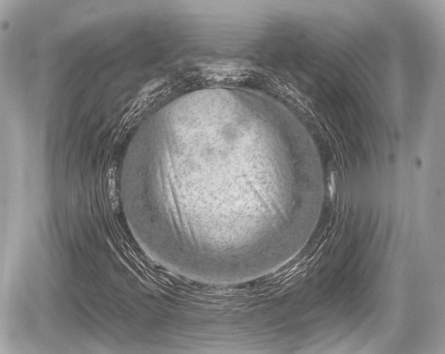 X0000059041396200510100958