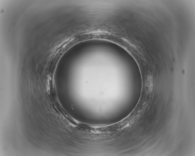 X0000059041398200510100958