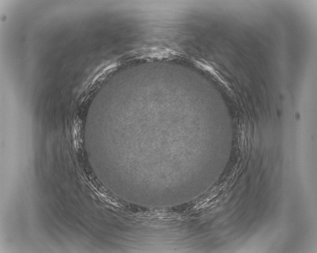 X0000059041399200510100958