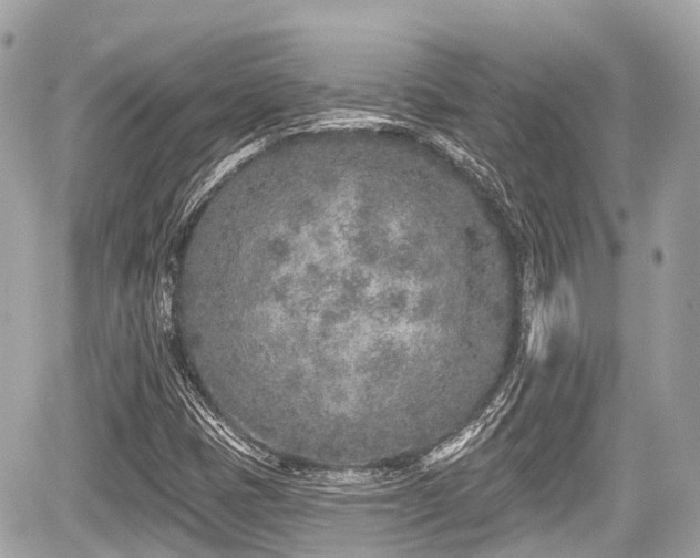 X0000059041401200510100958