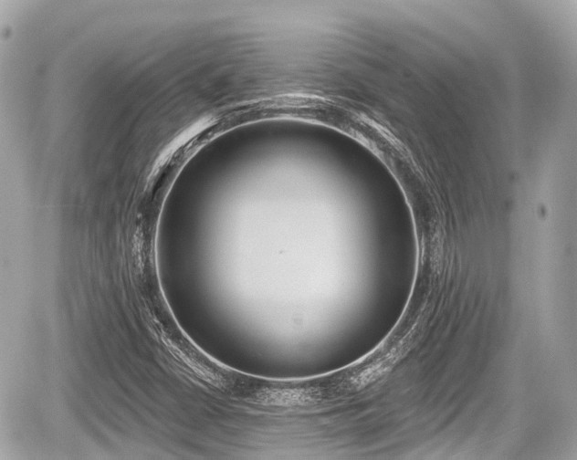 X0000059041402200510100958