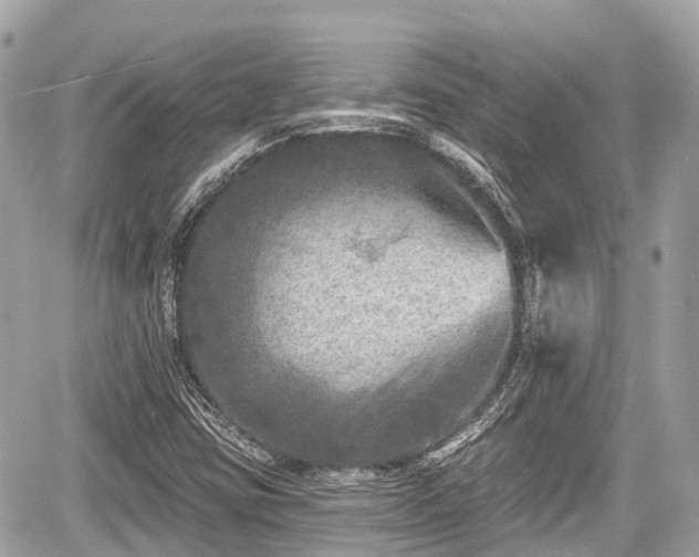 X0000059041403200510100958