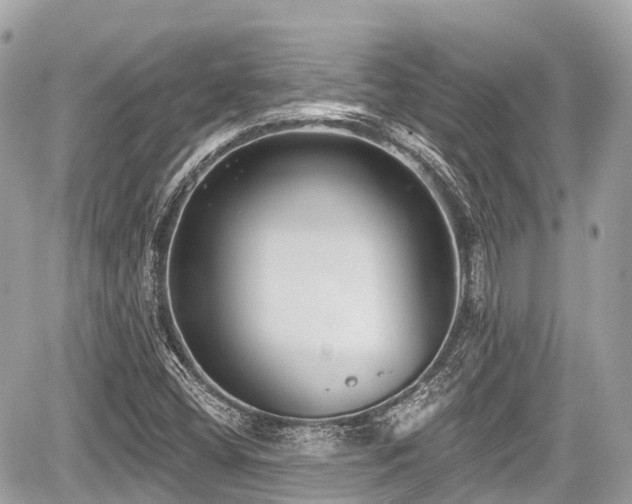 X0000059041404200510100958