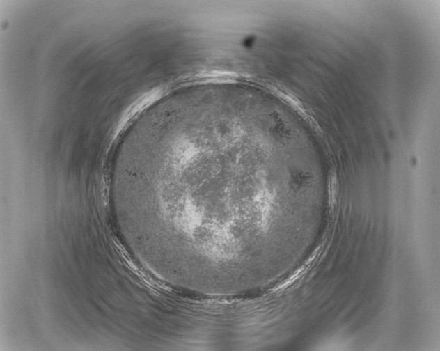 X0000059041405200510100958