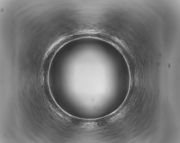 X0000059041406200510100958