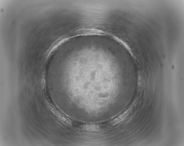 X0000059041407200510100958