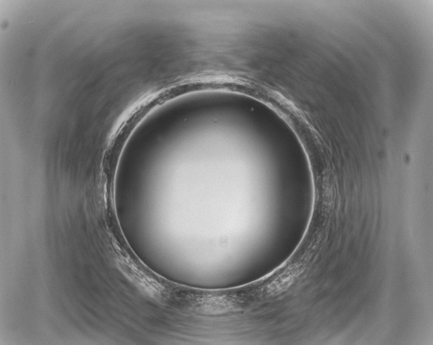 X0000059041408200510100958