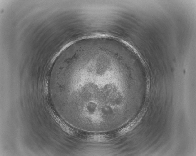 X0000059041409200510100958