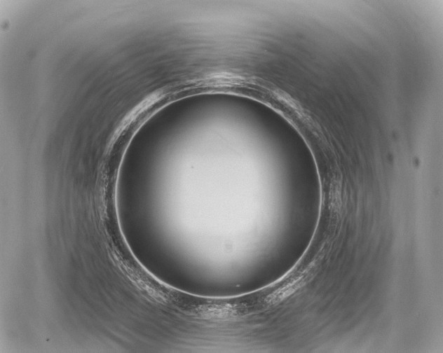 X0000059041410200510100958