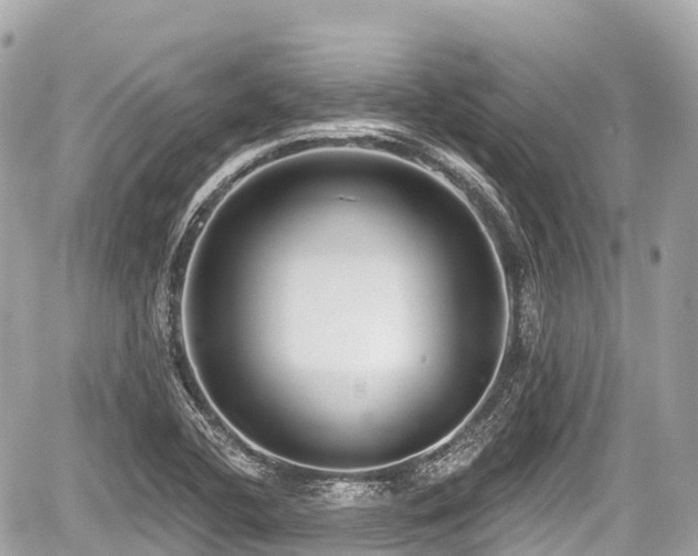 X0000059041412200510100958